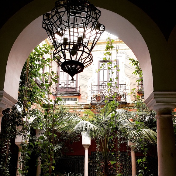 Meet your Posher, Ivo - Picture 1 of 1